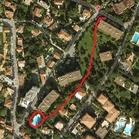 Karolina - Ascot * קאן